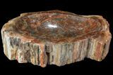 Polished Madagascar Petrified Wood Dish - Madagascar #98291-2